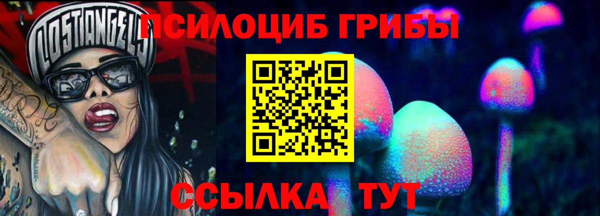 Галлюциногенные грибы мухоморы Елец